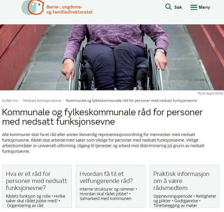 Arbeidsområder for rådene Universell utforming Tjenester for personer med nedsatt