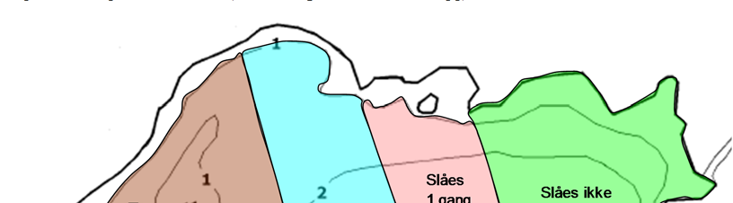 3. Slåing av smal vasspest 3.1 Slåtteplan Hå kommune søkte i 211 Fylkesmannen i Rogaland om tillatelse til slått av smal vasspest i Bjårvatnet (brev av 3.9.211).