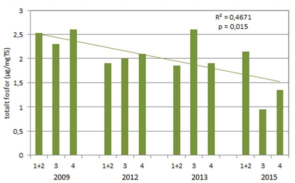 Figur 11. Endringer i fosfor i sedimentet i perioden 29-215. Data fra 29 er hentet fra Molversmyr (21), mens data fra 211-213 er fra Johnsen (214).