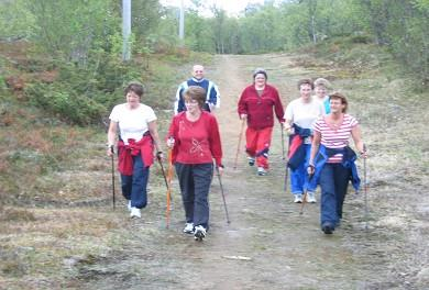 HAMARØY- DEN FRISKESTE KOMMUNEN I LANDET?