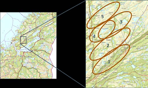 2 Områdebeskrivelse og tapshistorikk 2.1 Områdebeskrivelse Rødsjø beiteområde ligger på Fosenhalvøya i Rissa kommune, Sør-Trøndelag.