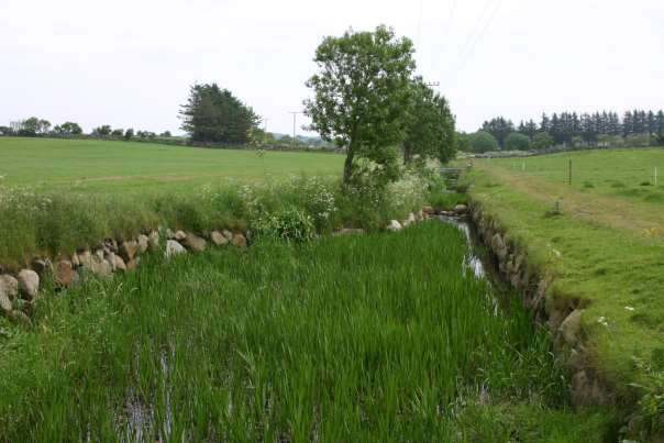 Avrenning til vassdrag og kyst Foto: Arne j. Lyshol. Reinsepark Diffus næringsavrenning frå jordbruket er ei kjelde til eutrofiering av vassdrag.