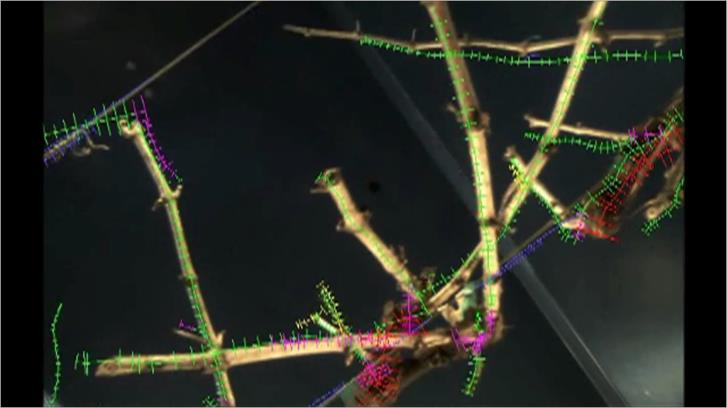 aspx Pruning automation project Apple and grapevine orchards, IN, USA Use of 3D imagery for