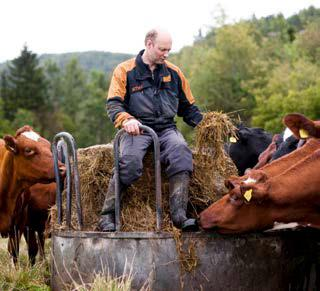 Kunnskap og formidlingsprosjekt grovfôrproduksjon Kompetanse PROSJEKTTITTEL Grovfôr 2020 Bedre lønnsomhet i norsk grovfôrproduksjon gjennom