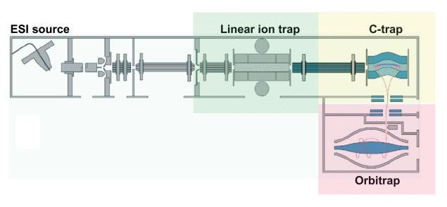 TEORI Figur 5: Oversikt over LTQ Orbitrap[28]. Ionefellen fanger og samler ioner for å kunne analysere dem[17].