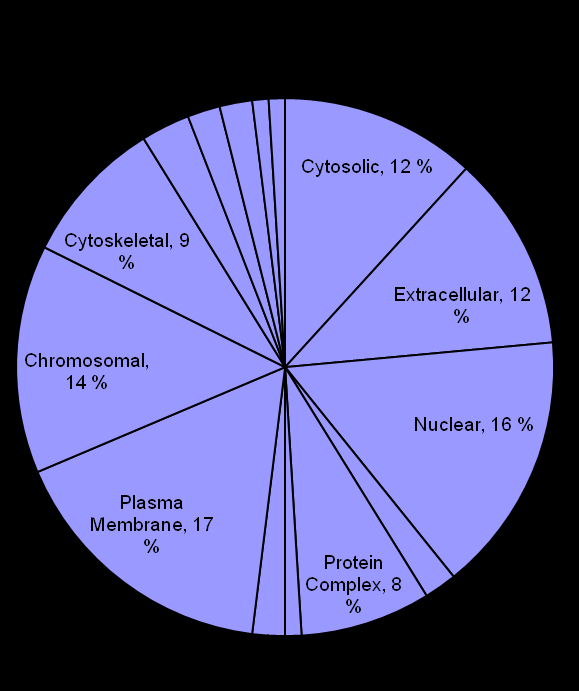 RESULTATER OG DISKUSJON GO Components figurene viser hvilke typer av cellulære proteiner som har blitt identifisert, for eksempel prosentandelen av ekstracellulære proteiner.