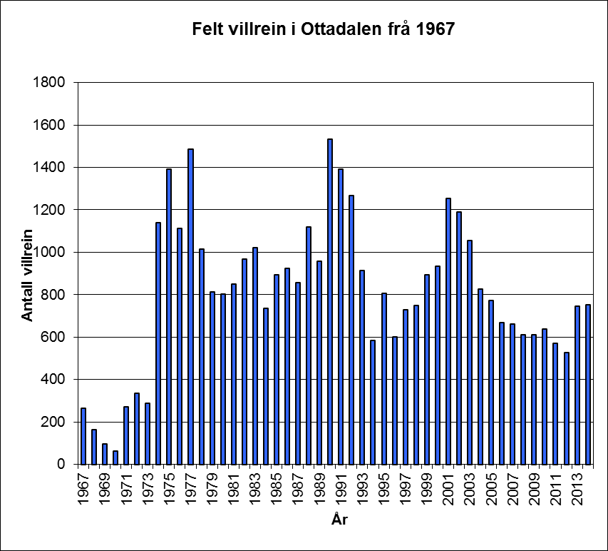 Fellingsstatistikken for Ottadalsområdet viser stor variasjon i talet på felte dyr.