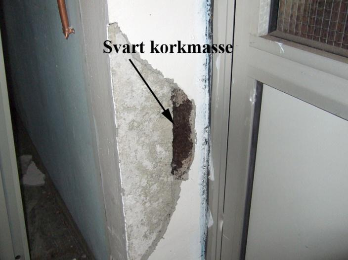 Ordre nr.: 34996 Side 11 av 15 PAH - UNDERSØKELSE Prøve 2, (svart korkmasse, **) den eneste som overskrider grenseverdien for Benzo(a)pyren, og må derfor betraktes som farlig avfall.