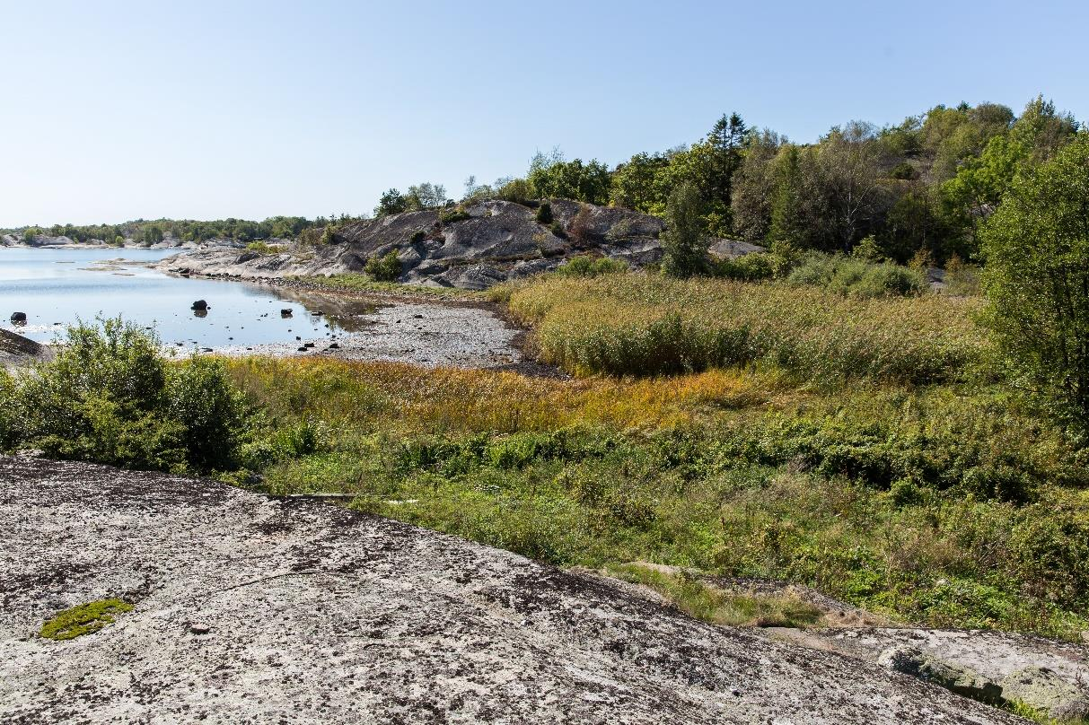 Utenfor gjerdet mot nordøst er det en fin kantsone mot fjellet med bl.a. slåpe.