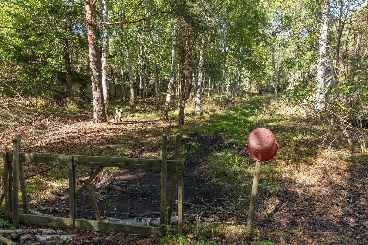 3.2.2 Storjordet Sone 2 Et stort område som har vært dyrket under tiden med aktiv gårdsdrift på øya.