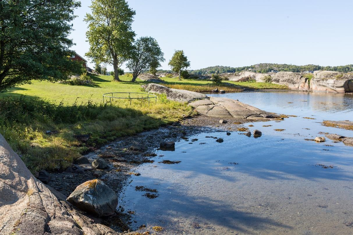 lokaliteten sparer skogbunnen og røtter for slitasje, samt gjør det enklere å bruke trillebår på stien.