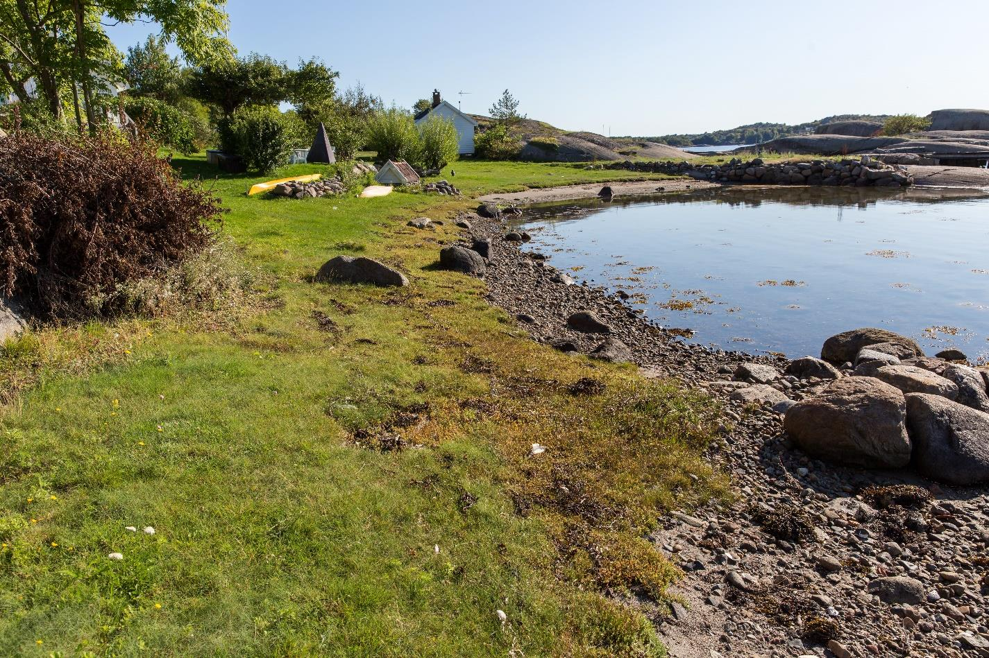 Smale strandenger i naturtypelokalitet 171