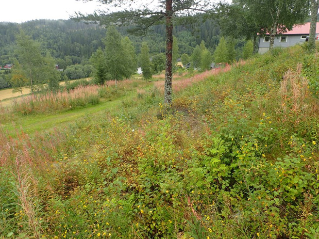 sett fra sør mot nord-vest. Foto:. 31.08.2016.