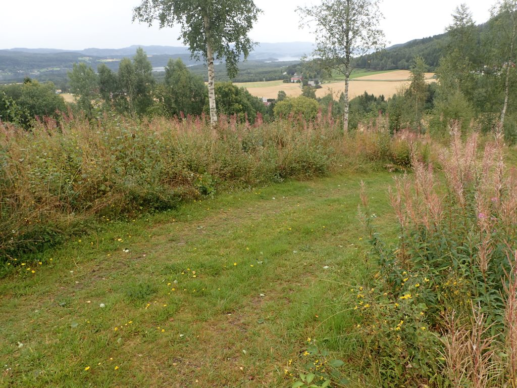 Figur 10. Fra Gusthaugen er det fin utsikt over landskapet i Stod, Kvam og Følling.