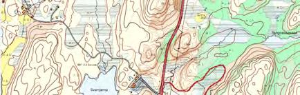 43 Kvenvær: Presthusmyra øst for Tautervatnet UTM: EUREF89 32VMR, Ø: 6707, N: 3899 Naturtype: Rikmyr A05 Utforming: Åpen intermediær og rikmyr i lavlandet A0505 Verdi: Svært viktig A Vernestatus: