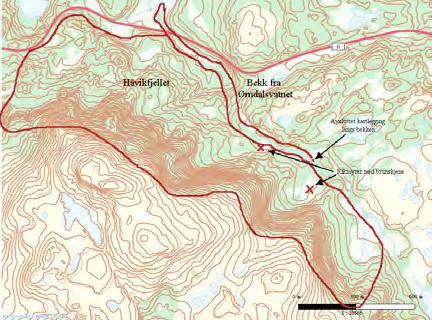 45 Straumsfjorden: Håvikfjellet UTM: EUREF89 32VMR, Ø: 8262, N: 4787 Naturtype: Kystfuruskog F12 Utforming: Verdi: Svært viktig A Vernestatus: Ingen vernestatus Trusler: Skogbruksdrift & Feltsjekk: