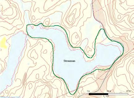 48 Kvenvær: Strauman UTM: EUREF89 32VMR, Ø: 660, N: 403 Naturtype: Strandeng og strandsump G05 Utforming: Verdi: Viktig B Vernestatus: Ingen vernestatus Trusler: Forurensing & Feltsjekk: 09.08.