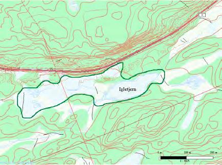 49 Ballsnes: Igletjern UTM: EUREF89 32VMR, Ø: 9423, N: 3984 Naturtype: Rikmyr A05 Utforming: Verdi: Viktig B Vernestatus: Ingen vernestatus Trusler: Drenering/gjenfylling & Skogbruksdrift Feltsjekk: