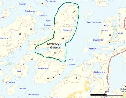 65 Straumøya-Gjøsøya UTM: EUREF89 32VMR, Ø: 665, N: 435 Naturtype: Kystlynghei D07 Utforming: Verdi: Viktig B Vernestatus: Ingen vernestatus Trusler: Gjengroing & Feltsjekk: 01.06.