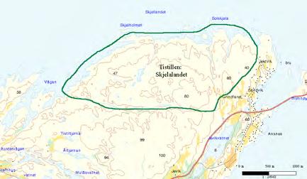 66 Tistillen: Skjelalandet UTM: EUREF89 32VMR, Ø: 98, N: 58 Naturtype: Kystlynghei D07 Utforming: Verdi: Viktig B Vernestatus: Ingen vernestatus Trusler: Gjengroing & Feltsjekk: 01.06.