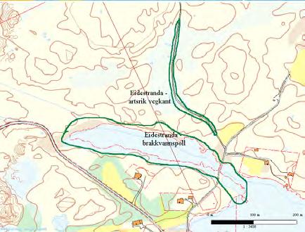 15 Dolmøya: Eidestranda - veikant UTM: EUREF89 32VMR, Ø: 9176, N: 5795 Naturtype: Artsrik veikant D03 Utforming: Verdi: Viktig B Vernestatus: Ingen vernestatus Trusler: Masseuttak/utfylling &