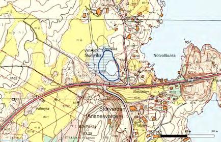 21 Tistillen: Ansnes: Steinvika - tjern UTM: EUREF89 32VMR, Ø: 9950, N: 5697 Naturtype: Rik kulturlandskapssjø E08 Utforming: Næringsrik utforming E0801 Verdi: Lokalt viktig C Vernestatus: Ingen