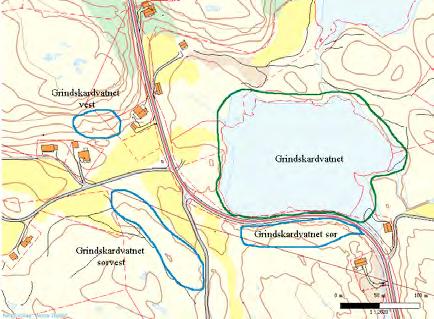 26 Ulvøya: Grindskardvatnet vest UTM: EUREF89 32VNR, Ø: 0230, N: 6042 Naturtype: Naturbeitemark D04 Utforming: Verdi: Lokalt viktig C Vernestatus: Ingen vernestatus Trusler: Gjengroing & Nedbygging