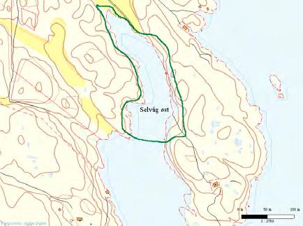 27 Ulvøya: Selvåg øst UTM: EUREF89 32VNR, Ø: 0541, N: 6022 Naturtype: Sand- og grusstrand G04 Utforming: Verdi: Viktig B Vernestatus: Ingen vernestatus Trusler: Gjengroing & Nedbygging Feltsjekk: