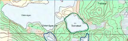 38 Helgebostadøya: Kjempevarden NØ UTM: EUREF89 32VMR, Ø: 7911, N: 5007 Naturtype: Gammel lauvskog F07 Utforming: Verdi: Viktig B Vernestatus: Ingen vernestatus Trusler: Skogbruksdrift & Feltsjekk: