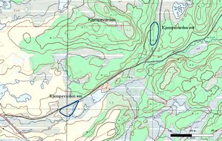 40 Helgebostadøya: Kjempevarden sør UTM: EUREF89 32VMR, Ø: 7905, N: 4915 Naturtype: Rikmyr A05 Utforming: Åpen intermediær og rikmyr i lavlandet A0505 Verdi: Lokalt viktig C Vernestatus: Ingen