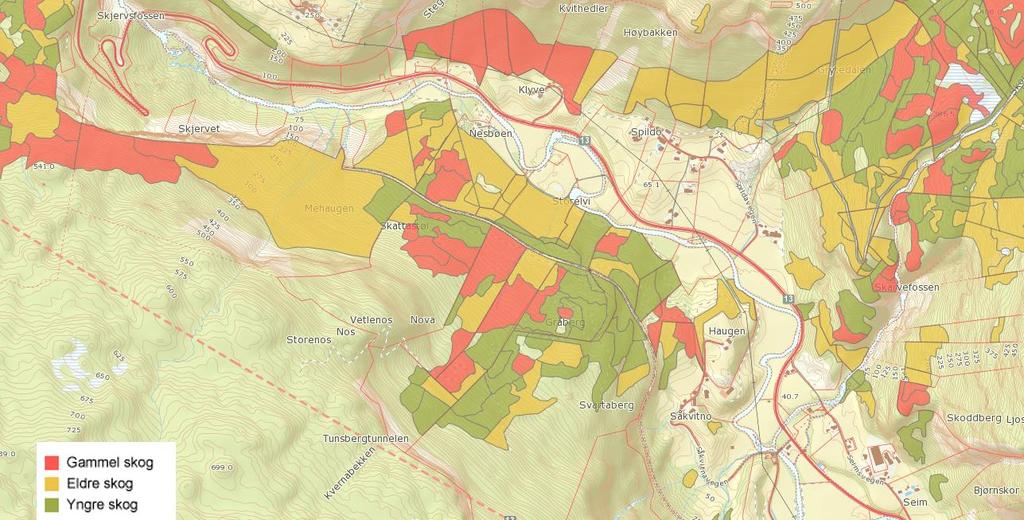 7.3.2 Skog Barskog Skogen i planområdet består av ei blanding av eldre og gammal furu og gran, samt yngre skog av lauvtre. Figur 37. Kart frå Miljøstatus si side.