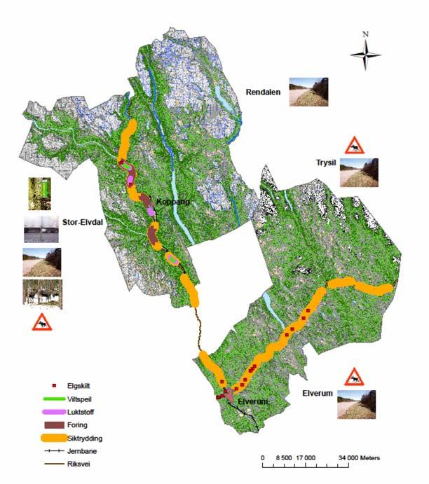 HEDMARK Riksvei 3 RENDALEN Tiltak: Skogrydding Periode:1994-2008 STOR-ELVDAL Tiltak: Skilting Skogrydding Fôring Viltspeil Luktstoff