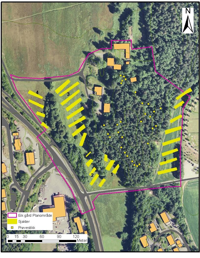 UNDERSØKELSE PÅ DYRKET MARK Alle dyrkede flater innenfor planområdet ble undersøkt ved hjelp av maskinell sjakting. Det ble lagt til sammen 28 sjakter på flaten (se kart side 11).