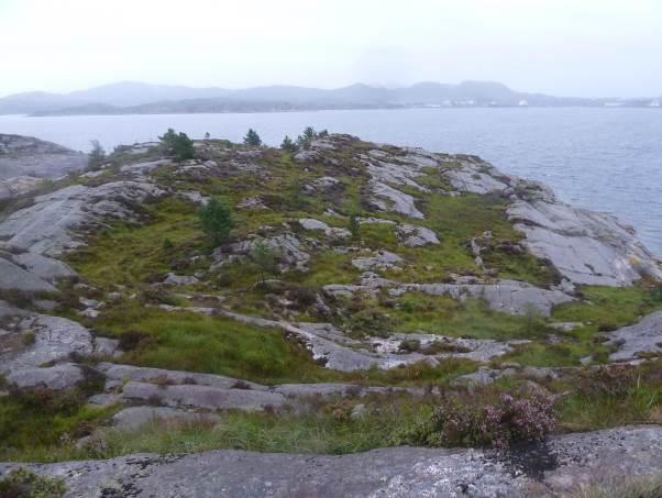 Slike treløse heisamfunn langs kysten av Norge er i betydelig tilbakegang på grunn av opphørt beite og brenning, og ifølge Lindgaard & Henriksen (2011) er kystlynghei en sterkt truet naturtype (EN).