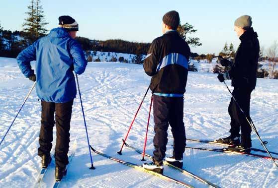 lydopptakerne ble deretter slettet. Intervjuene ble deretter transkribert ord for ord.