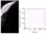 Tilpasning til Gauss-profil Tilpasning til annen kurve Histogram-utjevnet Tilpasset Gauss-form (Bilder hentet fra NASA) INF230 2/38 INF230 22/38 Histogram matching Histogramtilpasning hvor det ene