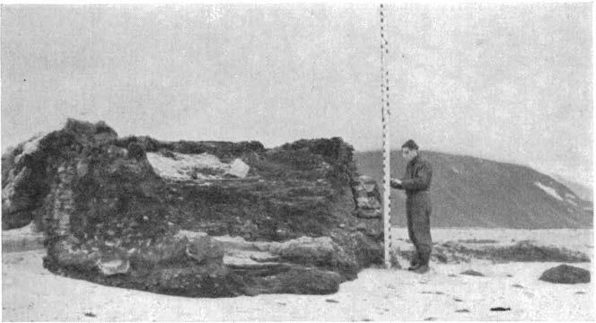 - 88 - "... - Fig. 13. Den østligste ovnsruin på Smeerenburg (VII) sett fra øst, fra sjøsiden. Den nærmeste halvdelen ligger på strandsanden (det hvite er sand). Nr. I Bakken ved foten av ovn.