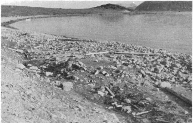 -95- Fig. 18. Ytre Norskøy, bukta med ovnsruinene på sydsiden av øya. I forgrunnen ruin Il, redusert til en lav hop. Bildet er tatt østover.