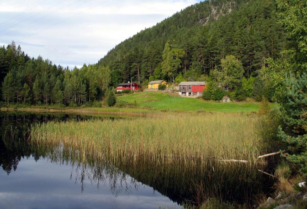 GAMLE HUS DA OG NÅ, 2. OMVERV 3.1.4 Tapsårsaker 0821 Bø 2.