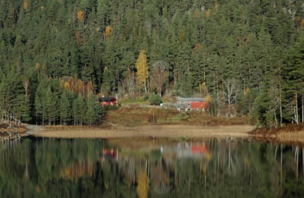 annen arealbruk 7 % Flytting 3 % Forfall er fortsatt den viktigste årsaken til at hus har gått tapt i Bø direkte og indirekte. Dernest kommer brann med 21 %.