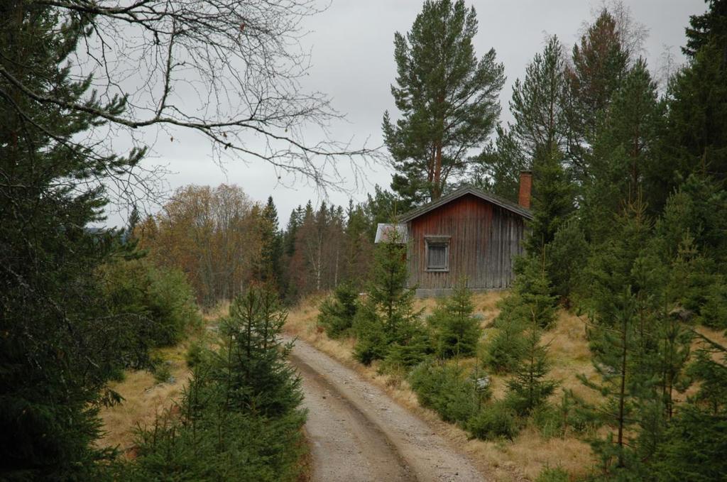 3 RESULTAT 3.3 Tilstand De gjenværende bygningene er her vurdert etter tilstanden i år 2009. 3.3.1 Tilstand samlet oversikt 0821 Bø 2. omverv: Tilstand (Gjenstående 2. omv. = 100%) Sterkt truet 8 % I 2009 har ca.