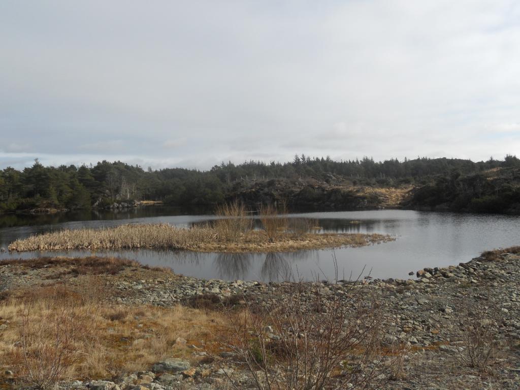 Under besiktigelse av vannet ble det antatt at sedimentene på østsiden ikke hadde vært forstyrret av byggingen av den nåværende rullebanen.