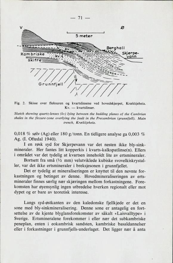 71 Fig. 2. Skisse over fleksuren og kvartslinsene ved hovedskjerpet, Krækkjeheia Kv. kvartslinser.