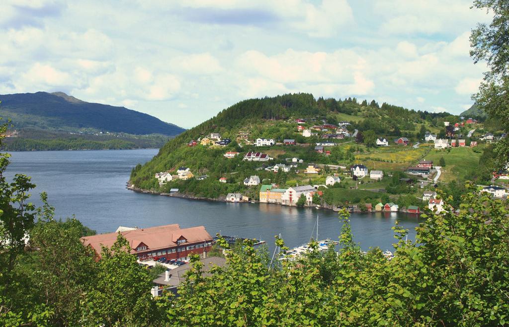 Naturskjønne omgivelser - flotte naturopplevelser i nærheten!