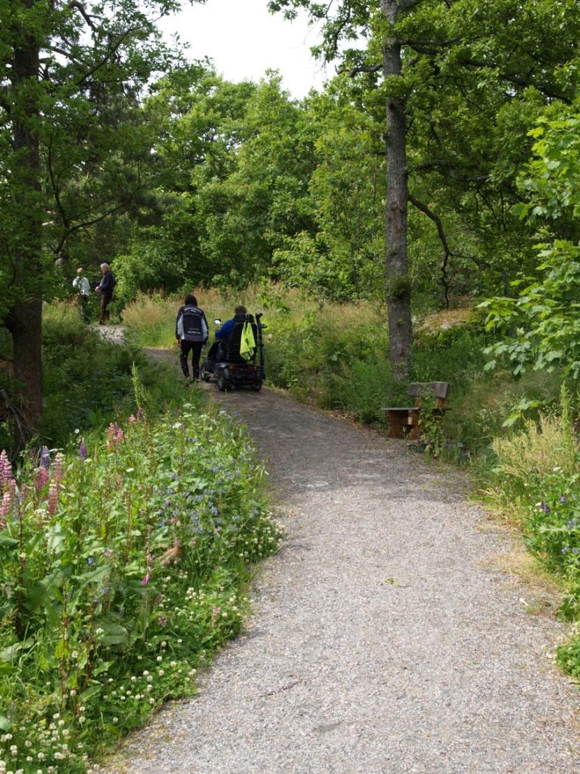 Kap. Friluftslivsaktivitet Det er gode erfaringer med samarbeid mellom kommuner og frivillige organisasjoner om å mobilisere grupper som er lite fysisk aktive til friluftsliv.