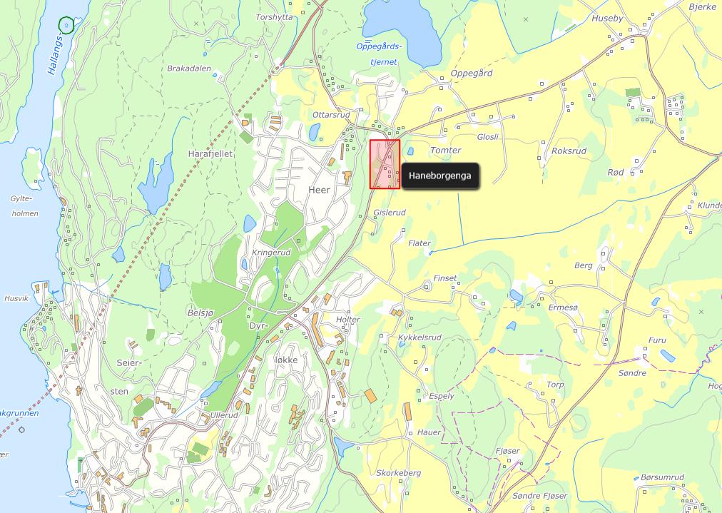 SAKSUTREDNING: Sammendrag: Kommunestyret har vedtatt detaljregulering for Haneborgenga, og vedtaket er påklaget av Statens vegvesen.
