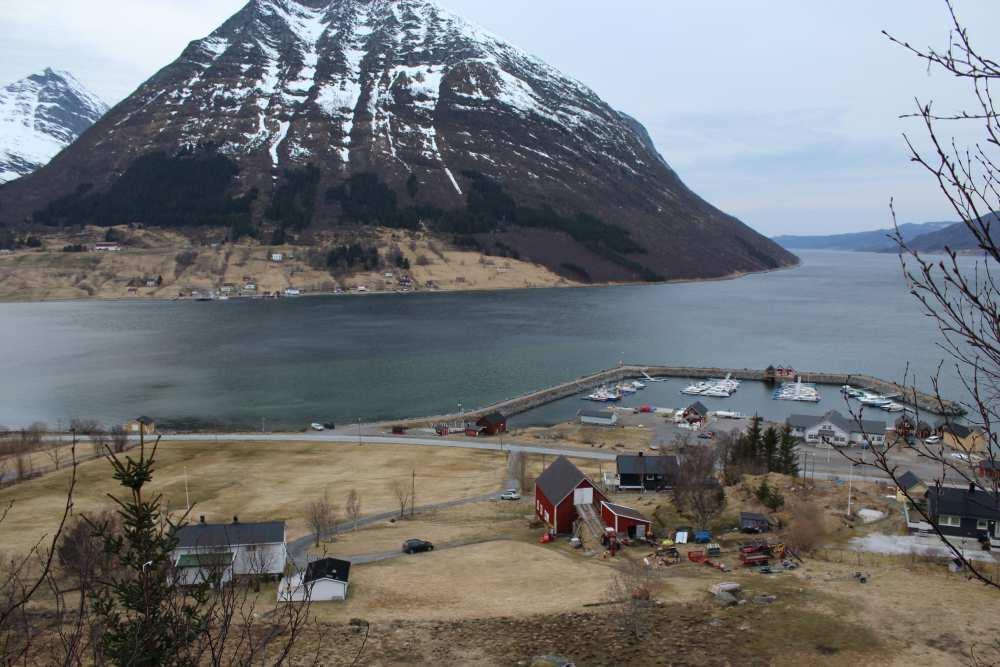 Det kan hende at det er etterspørsel etter nye anlegg for fisketurisme eller utvidelse av eksisterende anlegg.