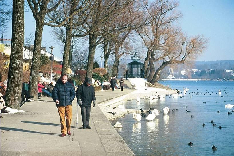 Grønt miljø Parken