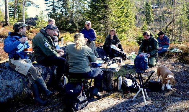 Følgende har bidratt (81 personer): ABØ = Asbjørn Børset, AGA = Arild Gauteplass, AHA = Anders Hals, AHG = Anders Hangård, ALA = Aleksander Landsverk, ANS = Anne Sørensen, ASZ = Anne Stine