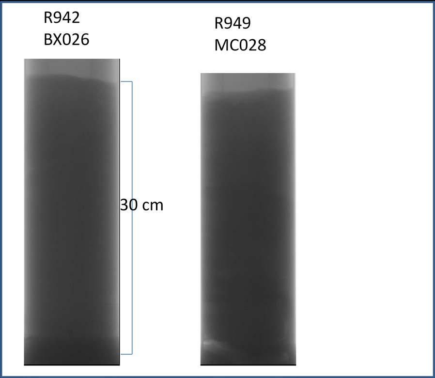 5.3.3 Visuell bedømmelse og XRI-analyser Sedimentkjernene er beskrevet om bord samtidig som de er delt opp i 1 cm tykke skiver. På de fleste stasjonene er det også tatt hele sedimentkjerner.